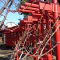 実際訪問したユーザーが直接撮影して投稿した西六郷神社白山神社の写真