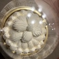 実際訪問したユーザーが直接撮影して投稿した丸の内ケーキ東京會舘 東京ギフトパレット店の写真