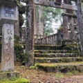 実際訪問したユーザーが直接撮影して投稿した高野山寺金剛峯寺 奥之院の写真