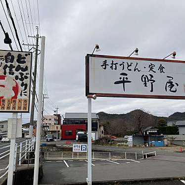 さゆ-さんが投稿した町田うどんのお店平野屋/ヒラノヤの写真