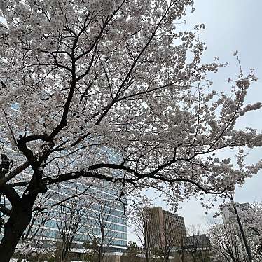 中野四季の森公園のundefinedに実際訪問訪問したユーザーunknownさんが新しく投稿した新着口コミの写真