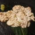 実際訪問したユーザーが直接撮影して投稿した中根和食 / 日本料理都立のかいりの写真