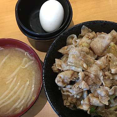 実際訪問したユーザーが直接撮影して投稿した武蔵丼ものすた丼屋 瑞穂店の写真