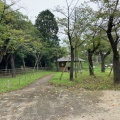 実際訪問したユーザーが直接撮影して投稿した亥鼻公園亥鼻公園の写真