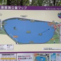 実際訪問したユーザーが直接撮影して投稿した河原井町公園久喜菖蒲公園の写真