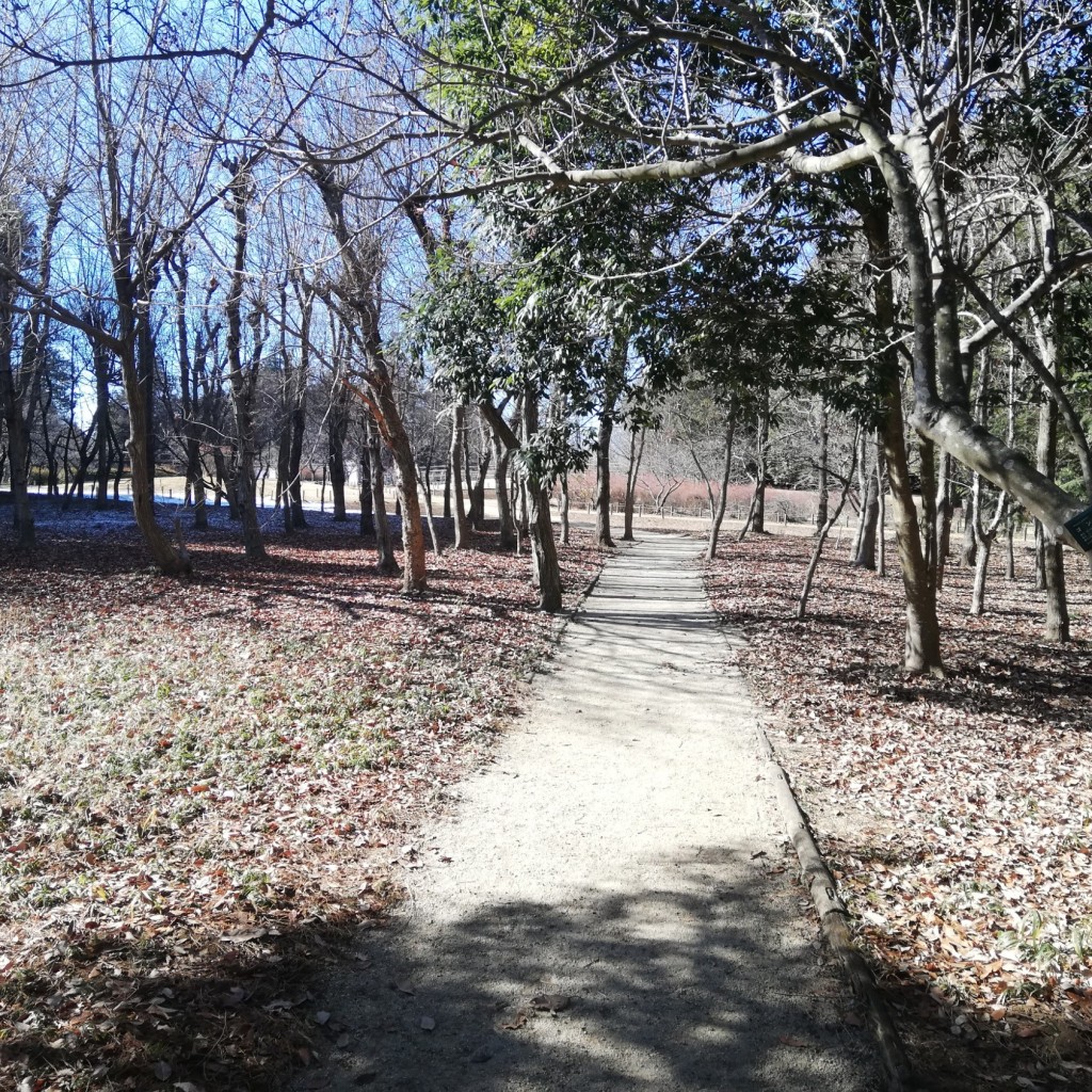 実際訪問したユーザーが直接撮影して投稿した高崎公園高崎自然の森の写真