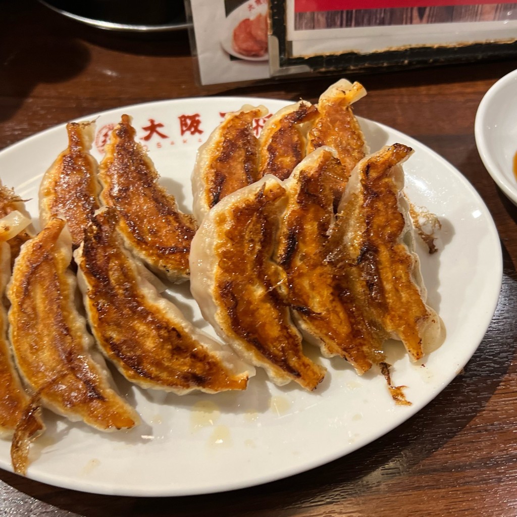 ユーザーが投稿した餃子定食の写真 - 実際訪問したユーザーが直接撮影して投稿した飯田橋餃子大阪王将 飯田橋店の写真