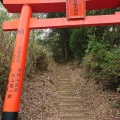 実際訪問したユーザーが直接撮影して投稿した豊福神社月姫大明神の写真