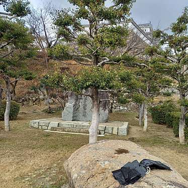 実際訪問したユーザーが直接撮影して投稿した本町公園姫路公園の写真