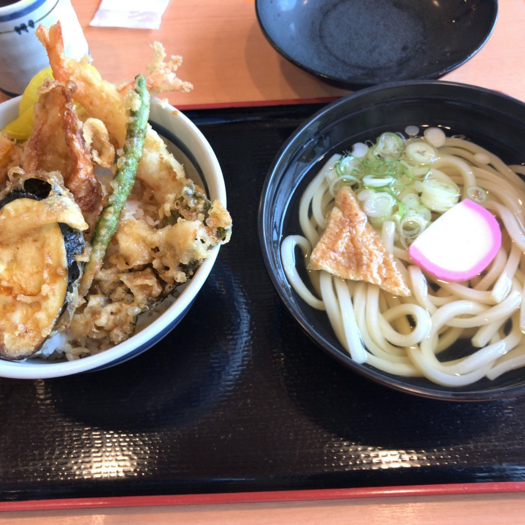 ユーザーが投稿したうどんセットの写真 - 実際訪問したユーザーが直接撮影して投稿した岩崎天ぷらてんこもり岩崎店の写真
