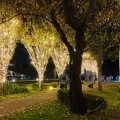 実際訪問したユーザーが直接撮影して投稿した赤坂公園ミッドタウンガーデンの写真