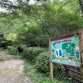 実際訪問したユーザーが直接撮影して投稿した祇園町公園武田山憩の森の写真