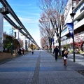 実際訪問したユーザーが直接撮影して投稿した緑町居酒屋菊松食堂の写真