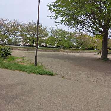 実際訪問したユーザーが直接撮影して投稿した富士見公園富士見公園の写真