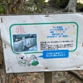 実際訪問したユーザーが直接撮影して投稿した一番丁公園和歌山城公園の写真