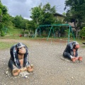 実際訪問したユーザーが直接撮影して投稿した動物園悠久山小動物園の写真