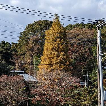 実際訪問したユーザーが直接撮影して投稿した勝田町文化財関家住宅の写真