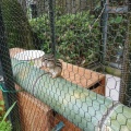 実際訪問したユーザーが直接撮影して投稿した薬師台動物園町田リス園の写真