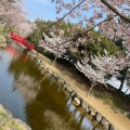 実際訪問したユーザーが直接撮影して投稿した有明町公園琴弾公園の写真