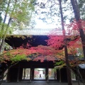 実際訪問したユーザーが直接撮影して投稿した円山寺曹源寺の写真