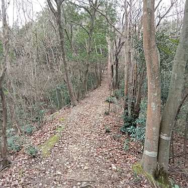 新免無二さんが投稿した平井歴史 / 遺跡のお店平井山ノ上付城跡(羽柴秀吉本陣跡)/ヒライヤマノウエヅケジョウアト ハシバヒデヨシホンジンアトの写真