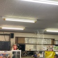 実際訪問したユーザーが直接撮影して投稿した竹岡定食屋ニコニコドライブインの写真