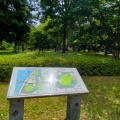 実際訪問したユーザーが直接撮影して投稿した大島公園大島小松川公園の写真