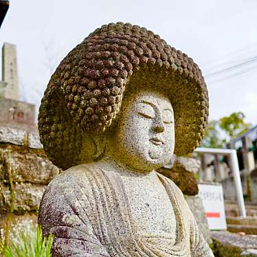 実際訪問したユーザーが直接撮影して投稿した黒谷町寺金戒光明寺の写真