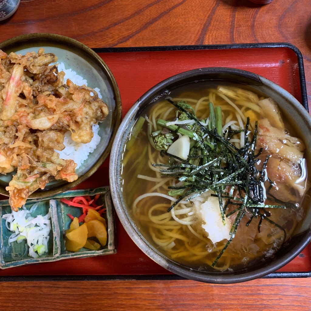 ユーザーが投稿したそば・うどん定食の写真 - 実際訪問したユーザーが直接撮影して投稿した渋川うどんけむりやの写真