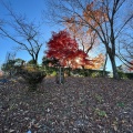 実際訪問したユーザーが直接撮影して投稿した三波川公園桜山公園の写真