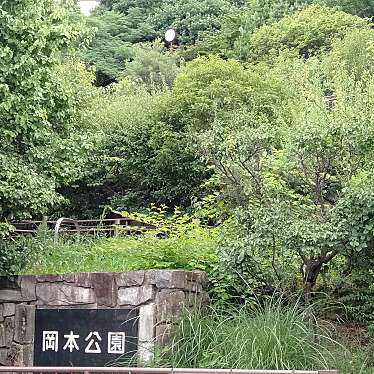 実際訪問したユーザーが直接撮影して投稿した岡本公園岡本梅林公園の写真