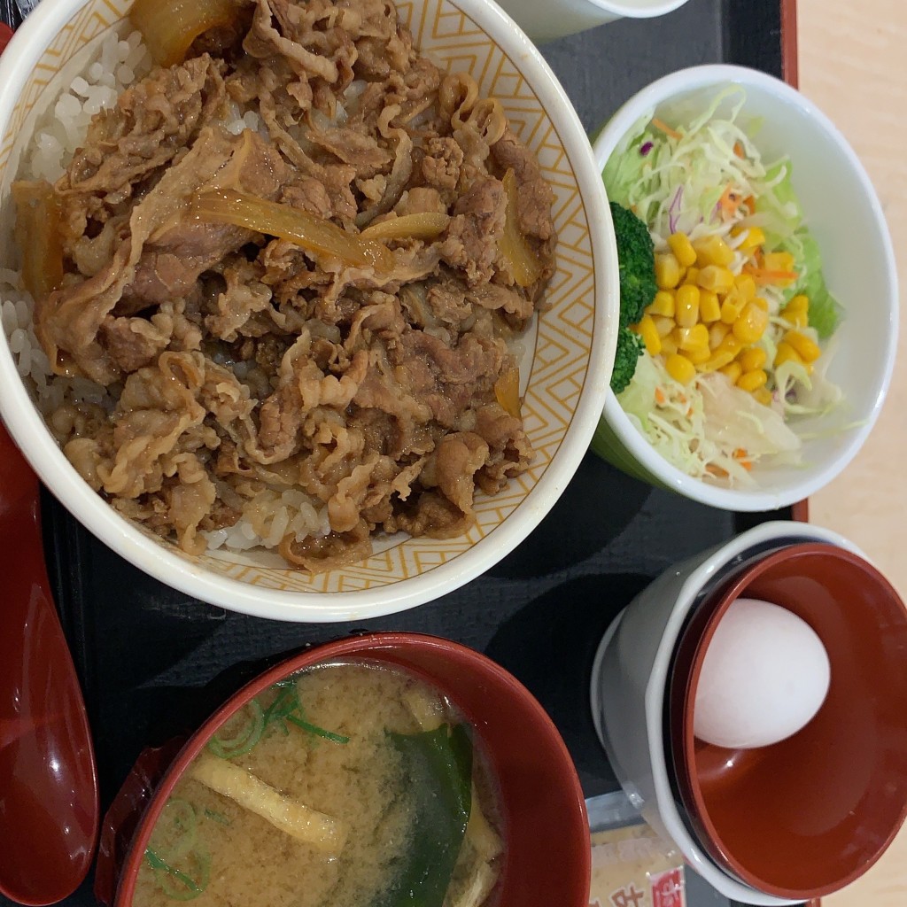 ユーザーが投稿した牛丼ランチの写真 - 実際訪問したユーザーが直接撮影して投稿した林町牛丼すき家 アクアウォーク大垣店の写真