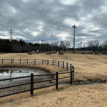 実際訪問したユーザーが直接撮影して投稿した大泉学園町公園大泉さくら運動公園の写真