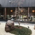 実際訪問したユーザーが直接撮影して投稿した田井城カフェ桜珈琲 松原店の写真