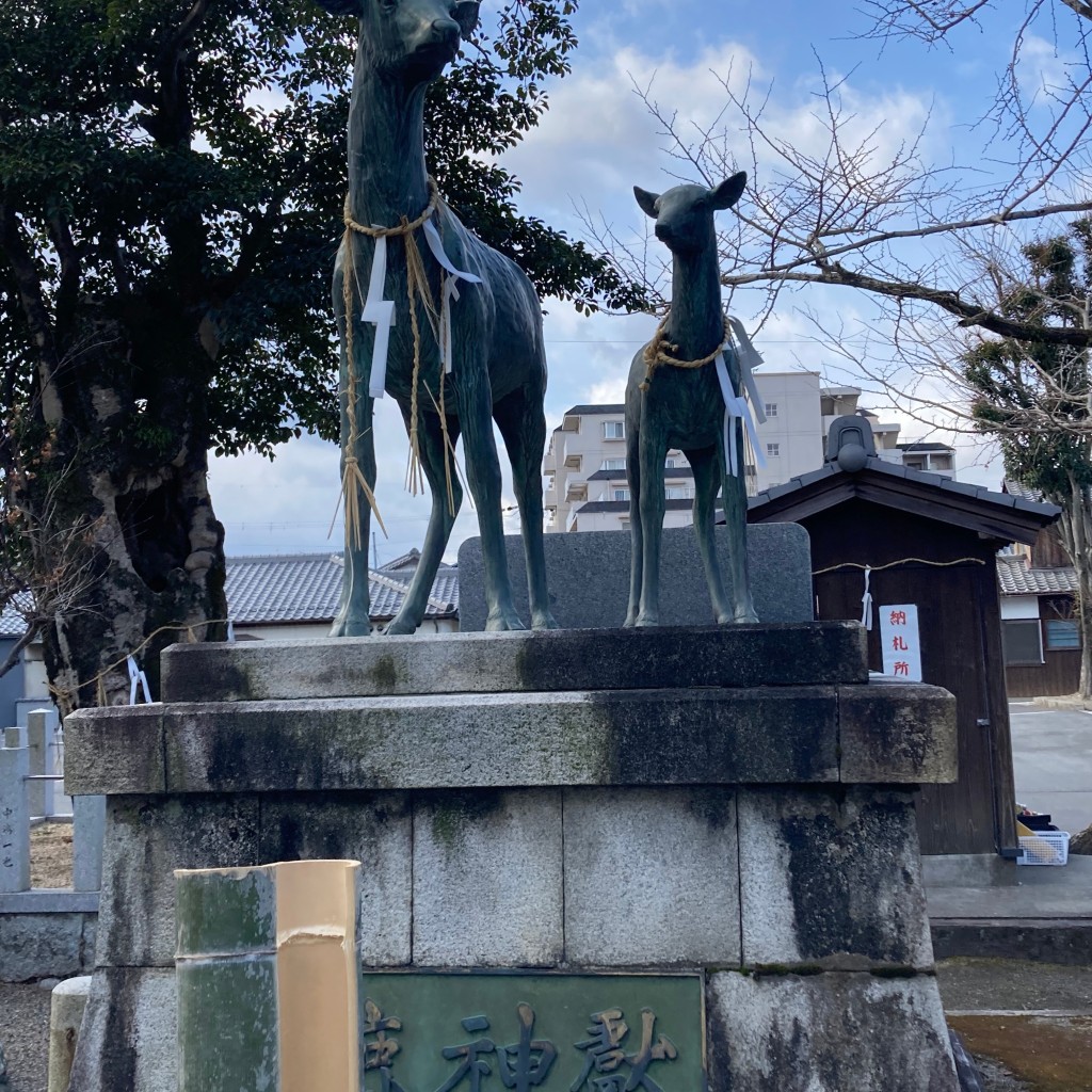 sarafinaさんが投稿した草津神社のお店立木神社/タチキジンジャの写真