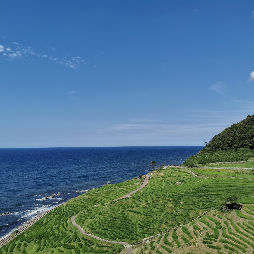 ちばさばさんが投稿した白米町景勝地 / 百選のお店白米千枚田/シロヨネセンマイダの写真