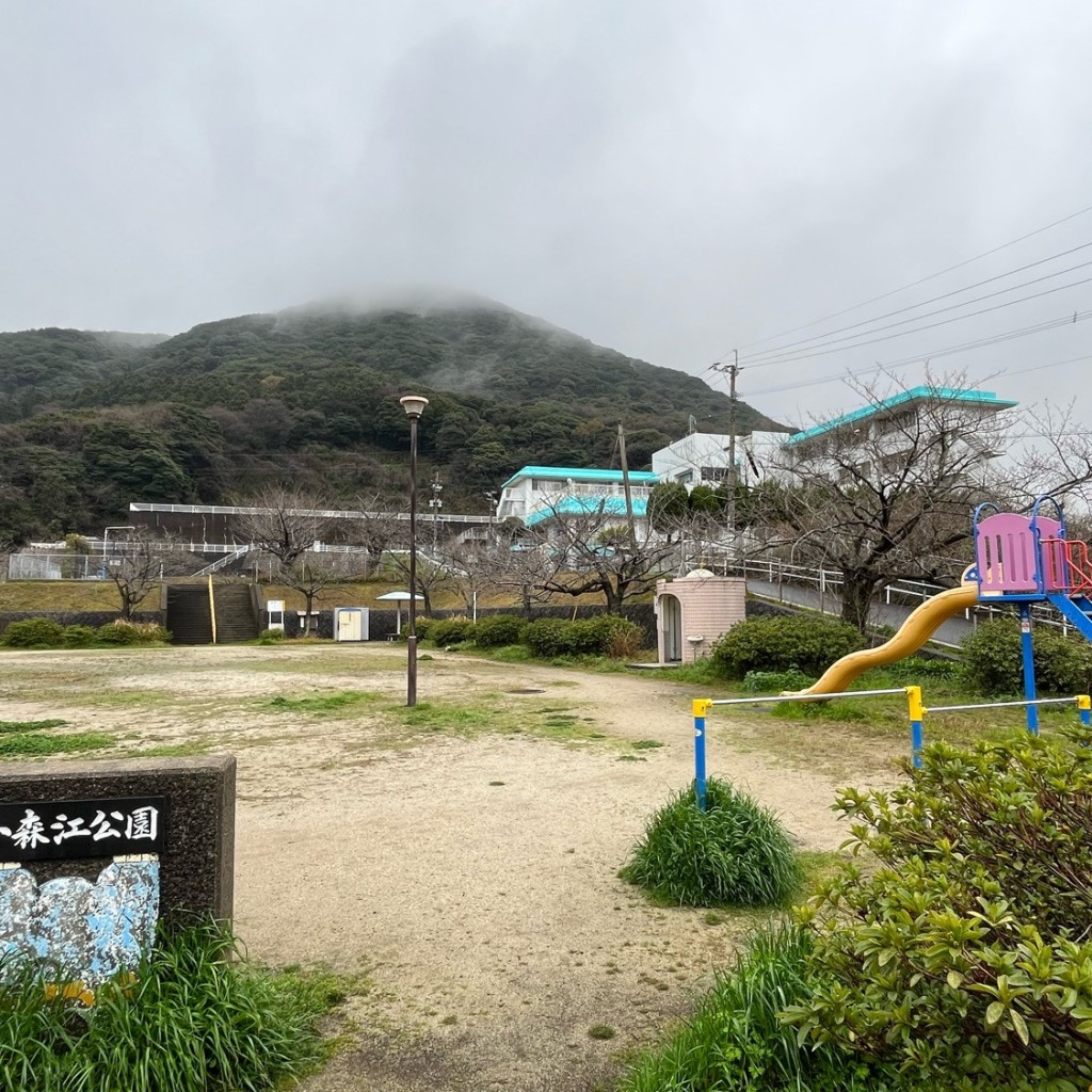 実際訪問したユーザーが直接撮影して投稿した羽山公園小森江公園の写真