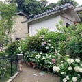 実際訪問したユーザーが直接撮影して投稿した坂ノ下神社御霊神社の写真