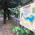 実際訪問したユーザーが直接撮影して投稿した善福寺公園善福寺公園の写真