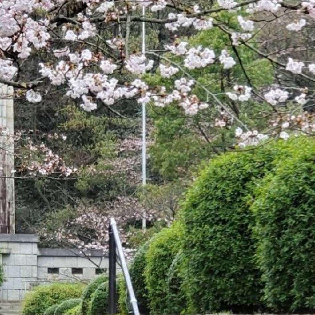 実際訪問したユーザーが直接撮影して投稿した滝の宮町公園滝の宮公園の写真