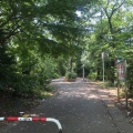 実際訪問したユーザーが直接撮影して投稿した日進町公園ルフロン公園(川崎駅東口緑地)の写真