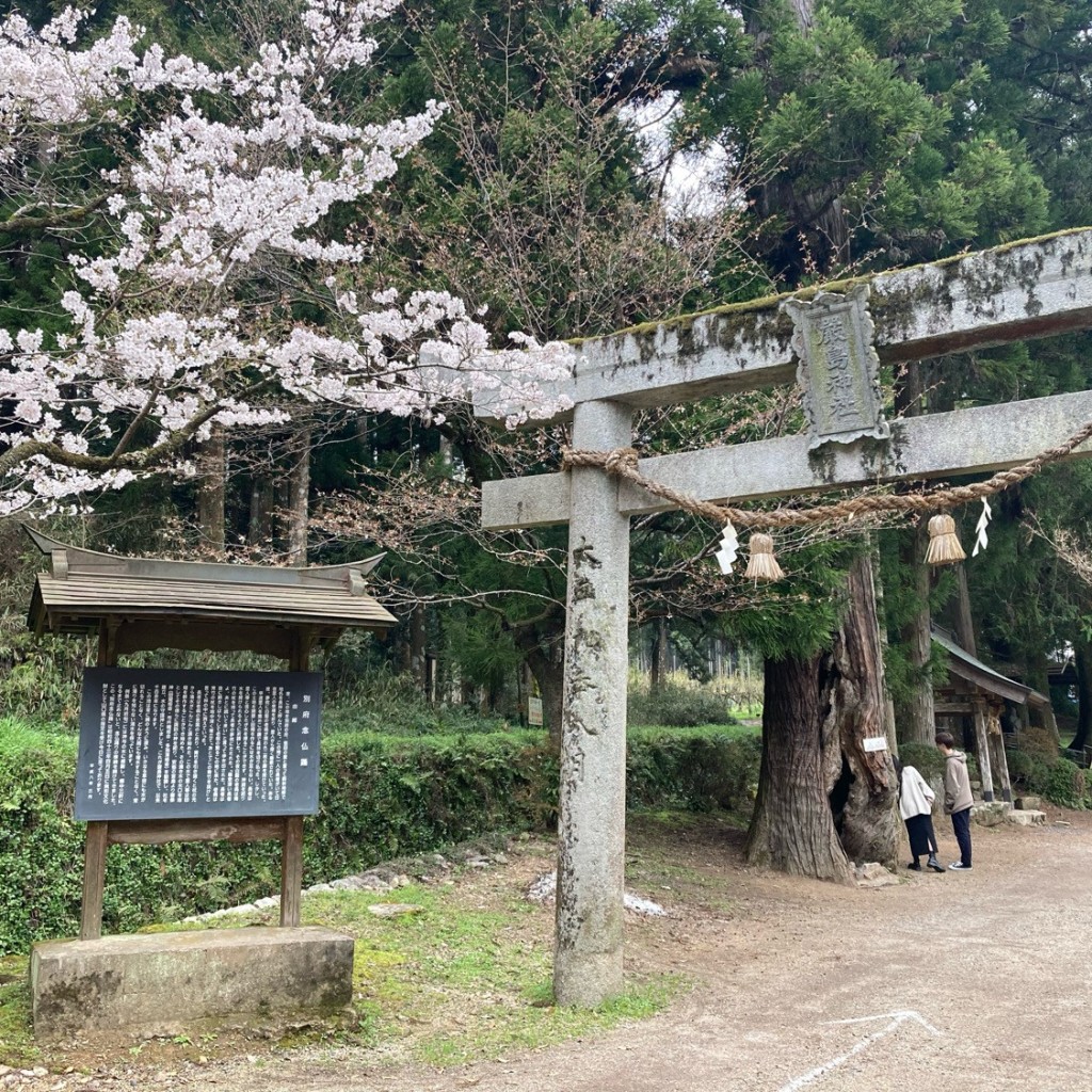 ふぃる2300さんが投稿した秋芳町別府湖沼 / 池のお店別府弁天池/ベップベンテンイケの写真