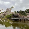 実際訪問したユーザーが直接撮影して投稿した高畑町歴史的建造物浮見堂の写真