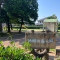 実際訪問したユーザーが直接撮影して投稿した小針町公園神明の森公園の写真