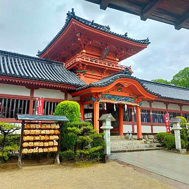 YST10さんが投稿した桜谷町神社のお店伊佐爾波神社/イサニワジンジャの写真