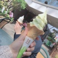 マスカットソフト - 実際訪問したユーザーが直接撮影して投稿した鶴田スイーツとっとり花回廊 ソフトクリーム売店 西館の写真のメニュー情報