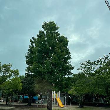 実際訪問したユーザーが直接撮影して投稿した地子町公園飯野地子町公園の写真