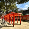 実際訪問したユーザーが直接撮影して投稿した住吉神社荒熊・白髭稲荷神社の写真