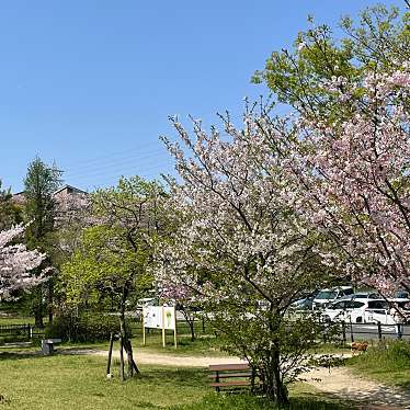 実際訪問したユーザーが直接撮影して投稿した実籾公園実籾本郷公園の写真