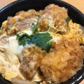 ひれかつ丼 - 実際訪問したユーザーが直接撮影して投稿した大場町とんかつかつ工房和幸 あざみ野ガーデンズ店の写真のメニュー情報